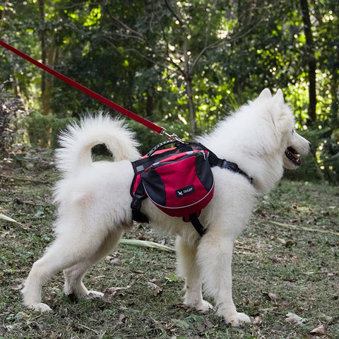 Best Dog Harness Backpack Reflective Adjustable S M L Hiking Camping Tailup