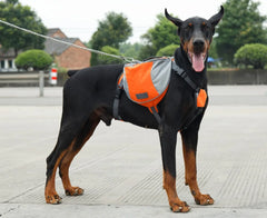 Dog Harness Backpack Reflective Adjustable S M L Hike Camping Dog Bag About Camping