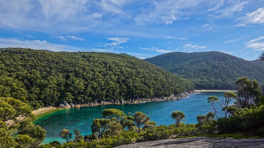 Camping Wilsons Promontory: The Complete Travel Guide