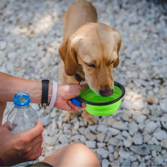 Water Food Bowl for Dogs Cats Collapsible Silicone with Carabiner Clip not specified