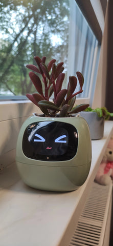 Smart Planter Ivy: AI-Powered Plant Care, Flowerpot Easy and Fun