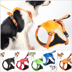 Best Dog Harness with Retractable Leash 2-in-1 No Pull Puppy Harness About Camping