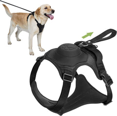 Best Dog Harness with Retractable Leash 2-in-1 No Pull Puppy Harness About Camping