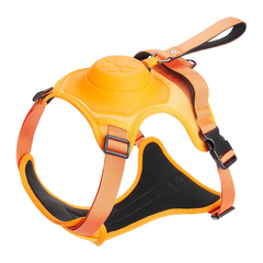 Best Dog Harness with Retractable Leash 2-in-1 No Pull Puppy Harness About Camping