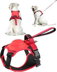 Best Dog Harness with Retractable Leash 2-in-1 No Pull Puppy Harness About Camping