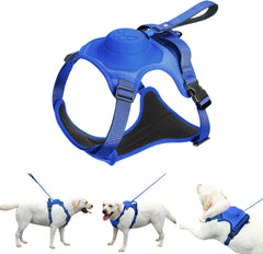 Best Dog Harness with Retractable Leash 2-in-1 No Pull Puppy Harness About Camping