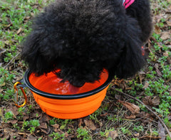 Water Food Bowl for Dogs Cats Collapsible Silicone with Carabiner Clip About Camping