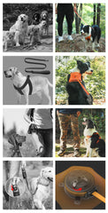 Best Dog Harness with Retractable Leash 2-in-1 No Pull Puppy Harness About Camping