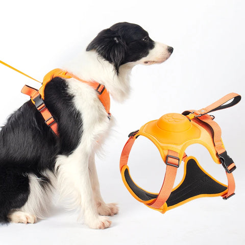 Best Dog Harness with Retractable Leash 2-in-1 No Pull Puppy Harness About Camping
