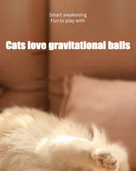 Interactive Cat Ball Toy Pet Silicone Premium Rechargeable with Light About Camping