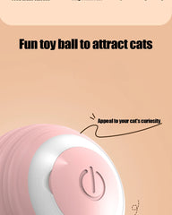 Interactive Cat Ball Toy Pet Silicone Premium Rechargeable with Light About Camping