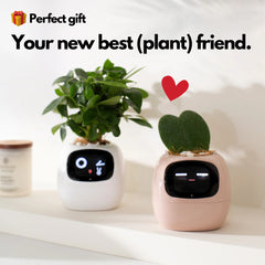 Smart Planter Ivy: AI-Powered Plant Care, Flowerpot Easy and Fun