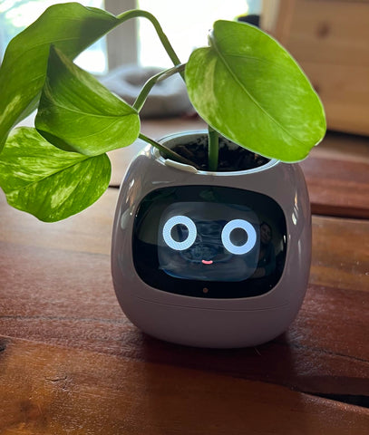 Smart Planter Ivy: AI-Powered Plant Care, Flowerpot Easy and Fun